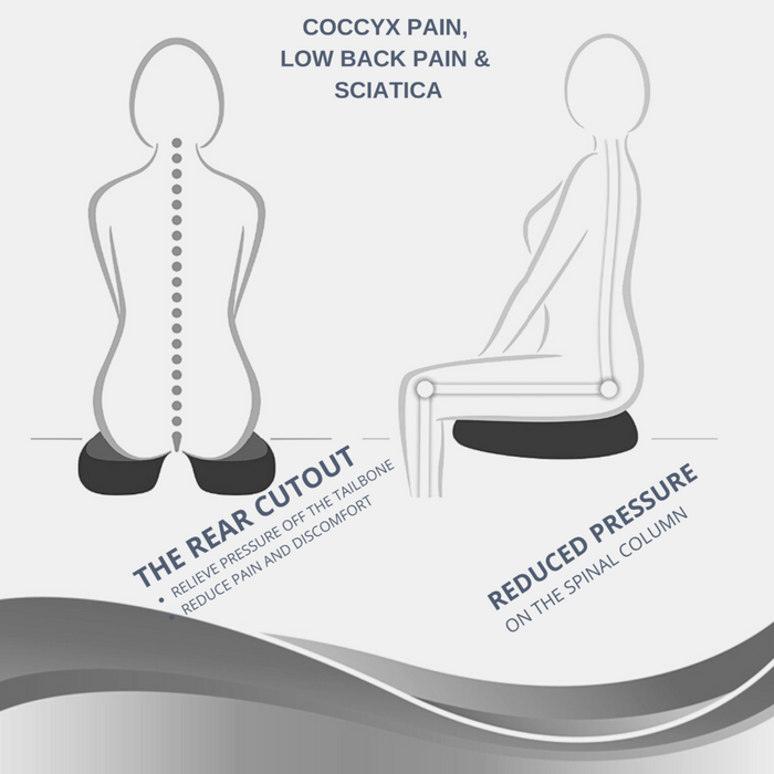 Coccyx (Tailbone) Orthopaedic Cushion